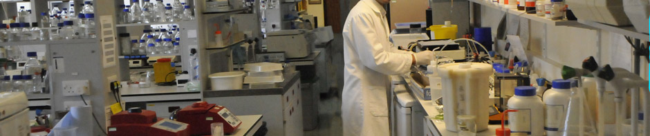 Working in the Molecular Cytogenetics lab