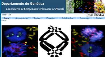 Mateus Mondin: Homepage