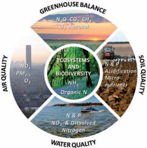 The five key threats of too much or too little nutrients