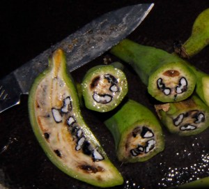 Musa balbisiana : a diploid wild banana species with seeds, and a parent of many non-sweet bananas and plantains