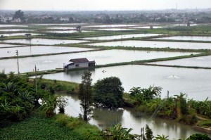 Pearl River Fish Farms, Guangzhou, China