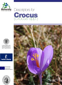 Descriptors for Crocus species morphology