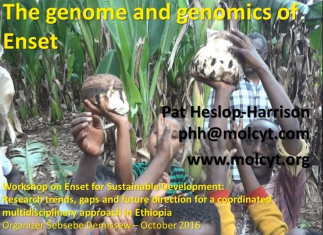 Ensete Talk Title Slide Addis Ababa