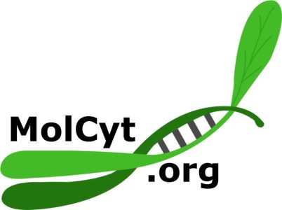 Molcyt.org webpage logo